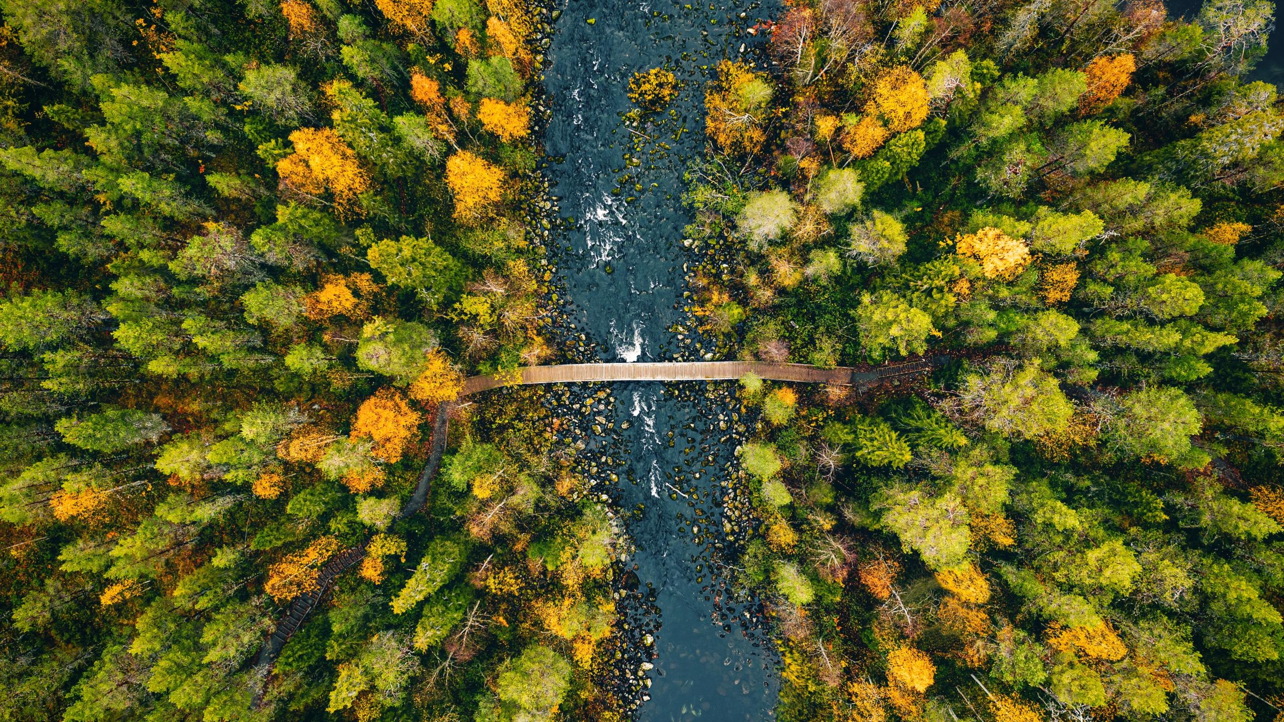 get-in-touch get-in-touch